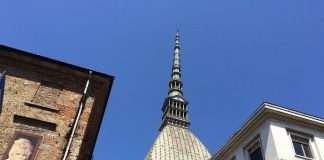 Allevamento Bouledogue Francese in Piemonte Allevamento bouledogue francese Piemonte