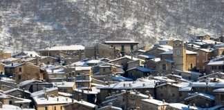 Allevamento bouledogue francese in Abruzzo