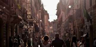 Allevamento bouledogue francese in Campania