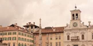 Allevamento bouledogue francese in Friuli Venezia Giulia