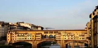 Allevamento bouledogue francese in Toscana