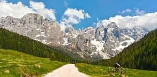 Allevamento bouledogue francese in Trentino Alto Adige