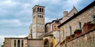 Allevamento bouledogue francese in Umbria