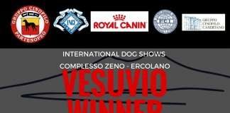 International Dog Show Complesso Zeno – Ercolano