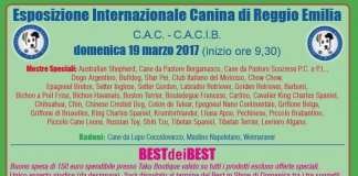 EXPO INTERNAZIONALE DI REGGIO EMILIA – SPECIALE BULLDOG
