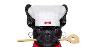 Crocchette Bouledogue Francese. Come leggere correttamente l’etichetta della confezione. Le crocchette per il vostro Bouldogue Francese