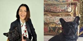 Very Important Frenchie – La storia di Cioccolato il Bulldog Francese Cioccolato e Emanuela gestiscono l'agenzia Pet Luxury Travel