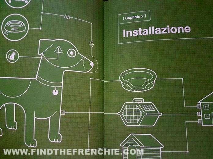 Find The Frenchie - Blog bulldog Francese