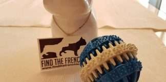 Palla in gomma naturale: benessere per i denti del tuo bulldog francese palla di gomma naturale per cani