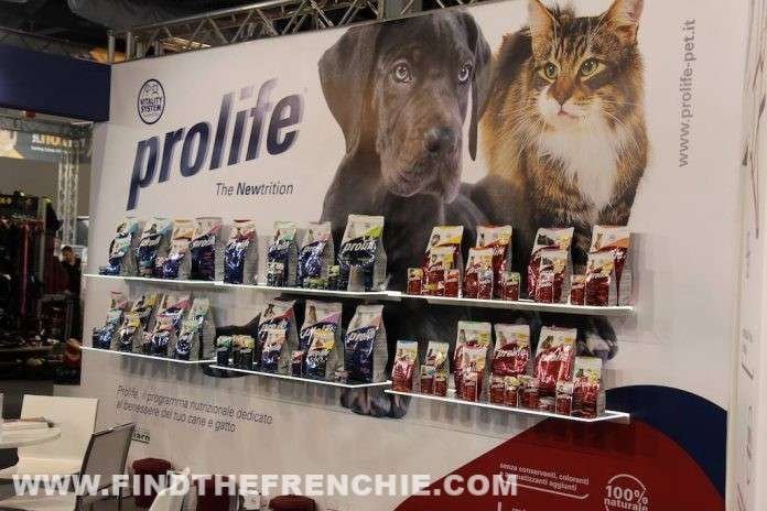 prolife pet food intervista Find the Frenchie