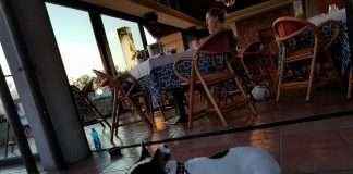 Cane al ristorante? Ecco cosa dice la legge Cane al ristorante? Ecco cosa dice la legge. Find the Frenchie