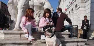 The Spider Dogarrow, Bouledogue Francese amico dei più piccoli Il bouledogue francese Spike insieme a Giulia e Annalisa