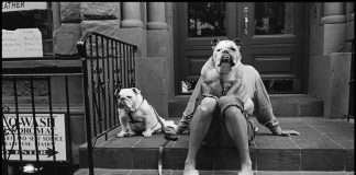 Mostra Elliott Erwitt: 80 foto sui cani a Treviso. La nostra recensione. Mostra Elliott Erwitt: 80 foto sui cani a Treviso. La nostra recensione.