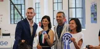 Raduno Club Cani Compagnia Treviso Bouledogue Francese