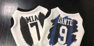 Felpe Bouledogue Francese. Collezione BF7 Sport di Li Lou Pet Couture Felpe Bouledogue Francese. Collezione BF7 Sport di Li Lou Pet Couture