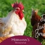 Herrmann’s cibo biologico per cani sensibili