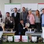 Vincitori Campionato Sociale Circolo Italiano Bulldog