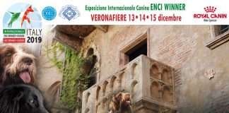ENCI WINNER 2019 – VERONA – 13 al 15 Dicembre
