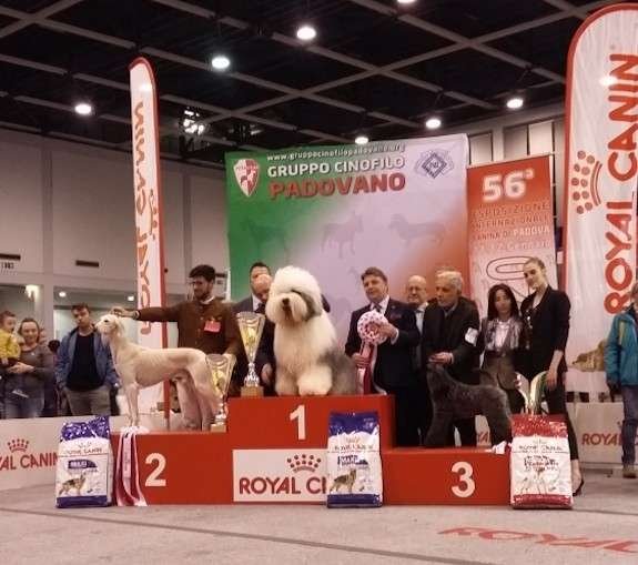 Best In Show Expo Padova 2020 - Credits ENCI