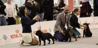 56ª Esposizione Internazionale Padova 2020 – I Risultati Esposizione Internazionale di Padova 2020 - Boris De Valoisse e Rita Toth