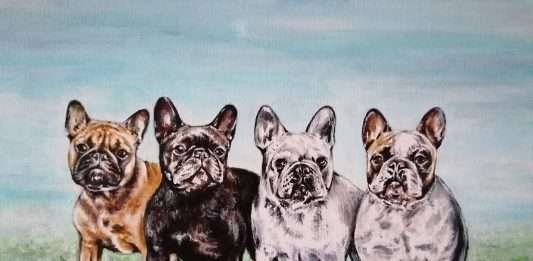 Ritratti Bouledogue Matty, Minilla, Pollon e Crash Acrilico su tela