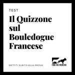 Quizzone Bouledogue Francese – Find the Frenchie