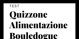 Quizzone Alimentazione Bouledogue Francese Il Quizzone Alimentazione Bouledogue Francese - Find the Frenchie