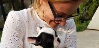 Socializzazione del cucciolo Mia da cucciola con l'umana