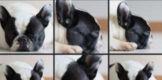 Settimana del Black Friday