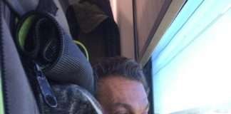 In treno con il Bouledogue in treno con il cane