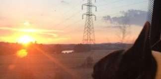 Amazon Prime Day 2021