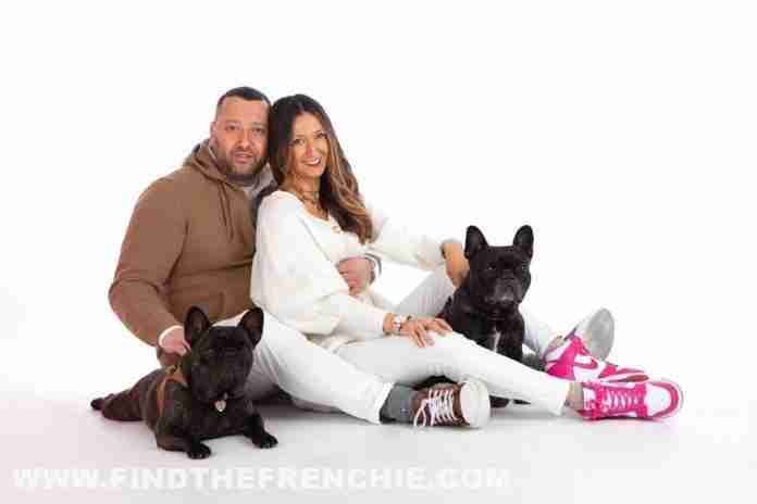 Vivere con due cani Bouledogue Francese