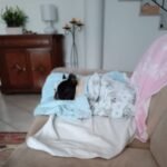 Salute_dentale-Mia-convalescente